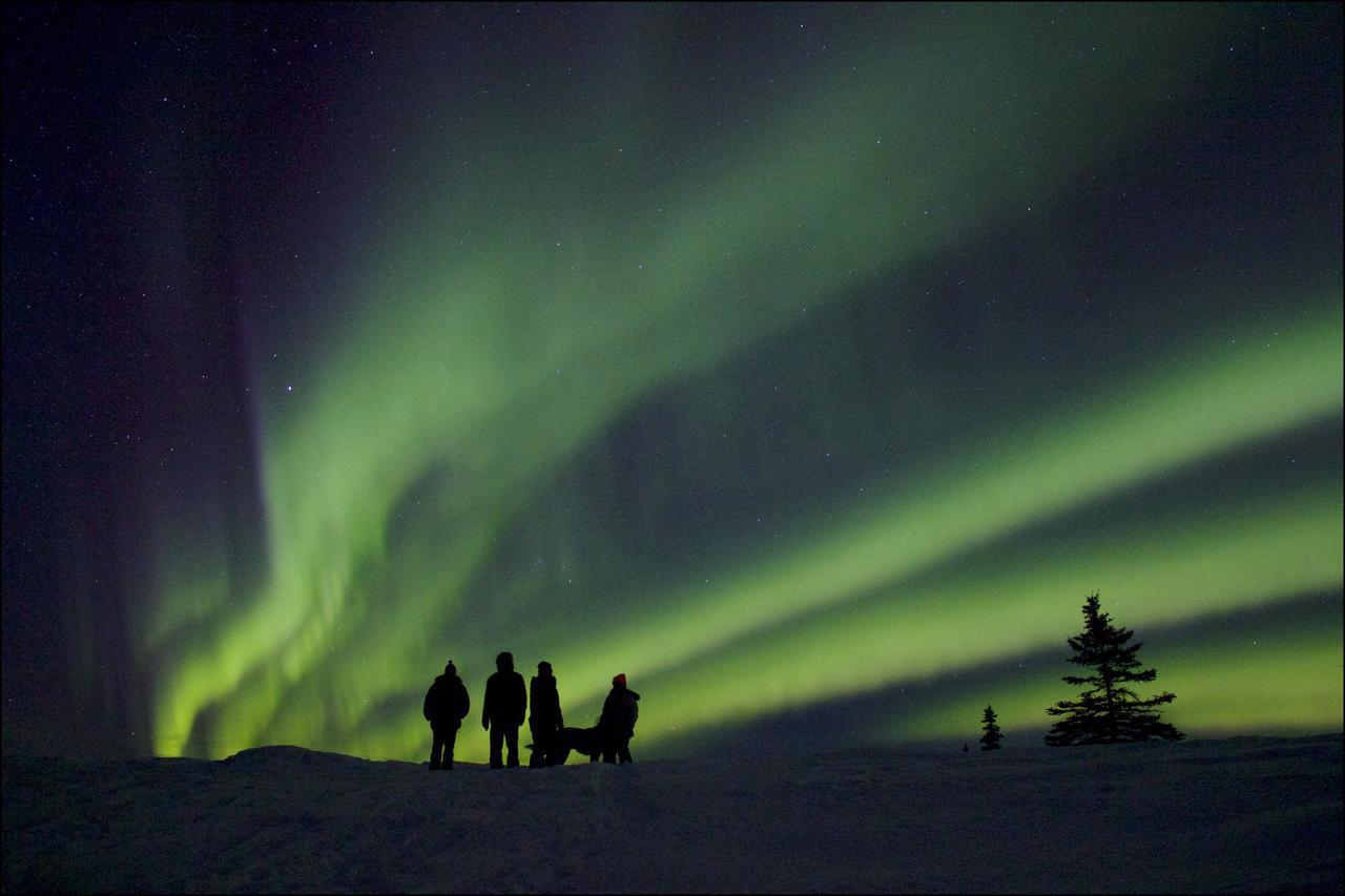 טלקטנה Caribou Lodge Alaska מראה חיצוני תמונה