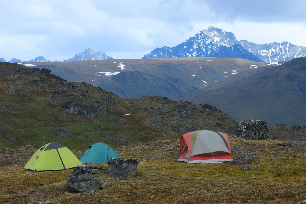 טלקטנה Caribou Lodge Alaska מראה חיצוני תמונה