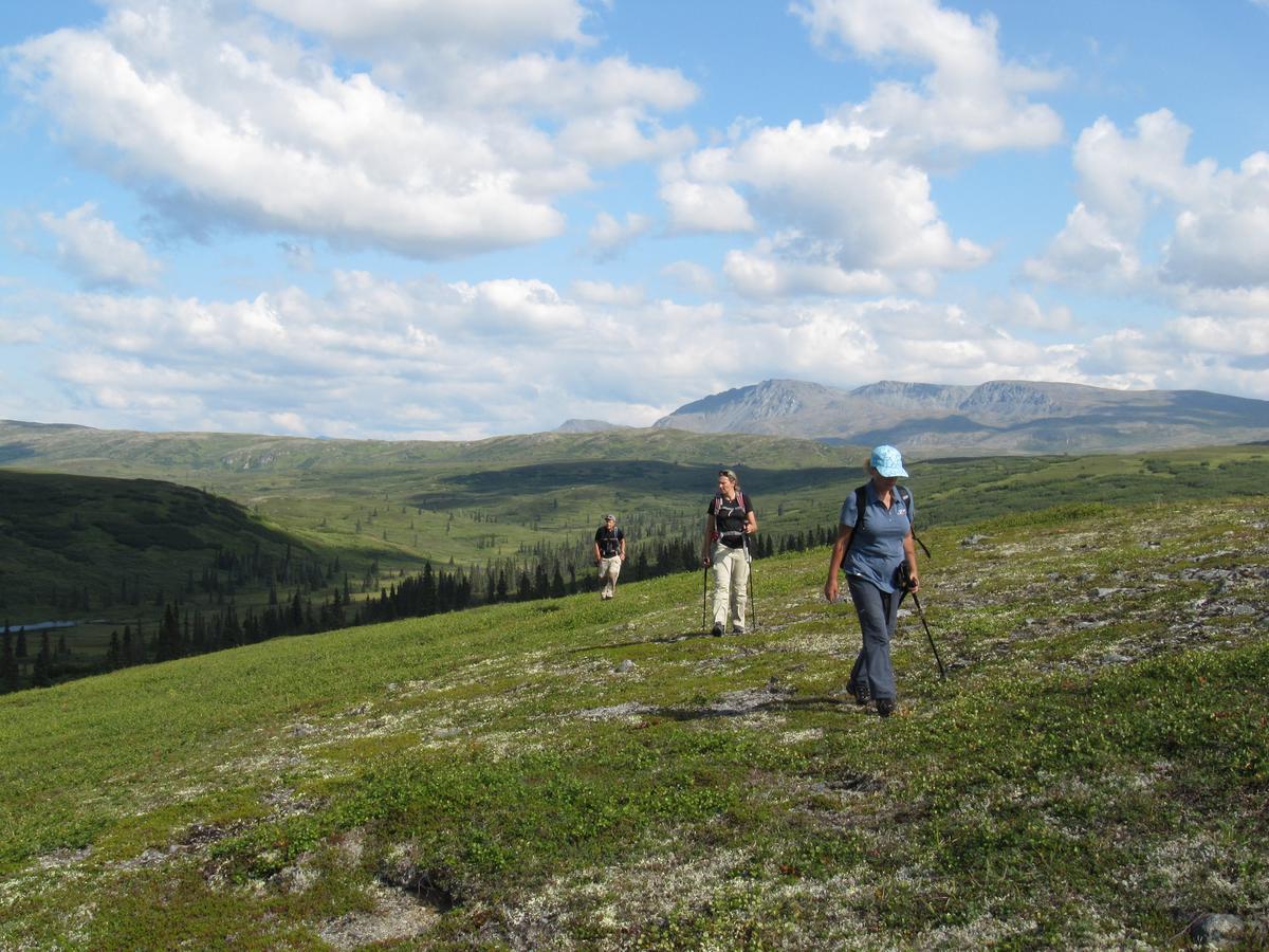 טלקטנה Caribou Lodge Alaska מראה חיצוני תמונה