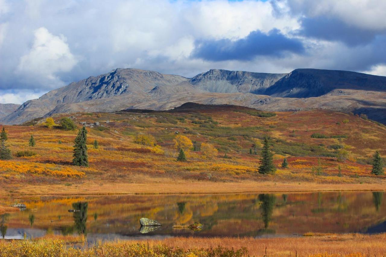 טלקטנה Caribou Lodge Alaska מראה חיצוני תמונה