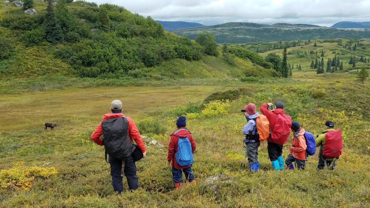 טלקטנה Caribou Lodge Alaska מראה חיצוני תמונה