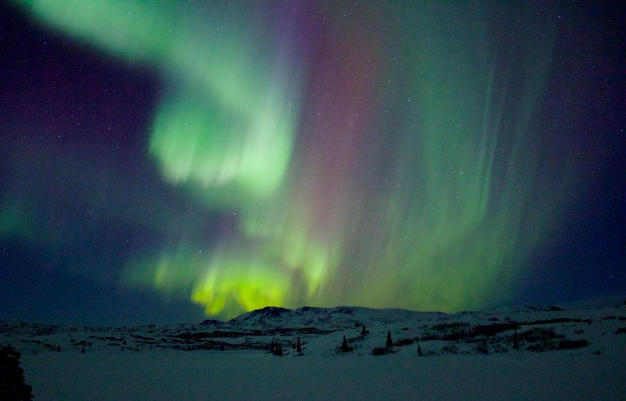 טלקטנה Caribou Lodge Alaska מראה חיצוני תמונה