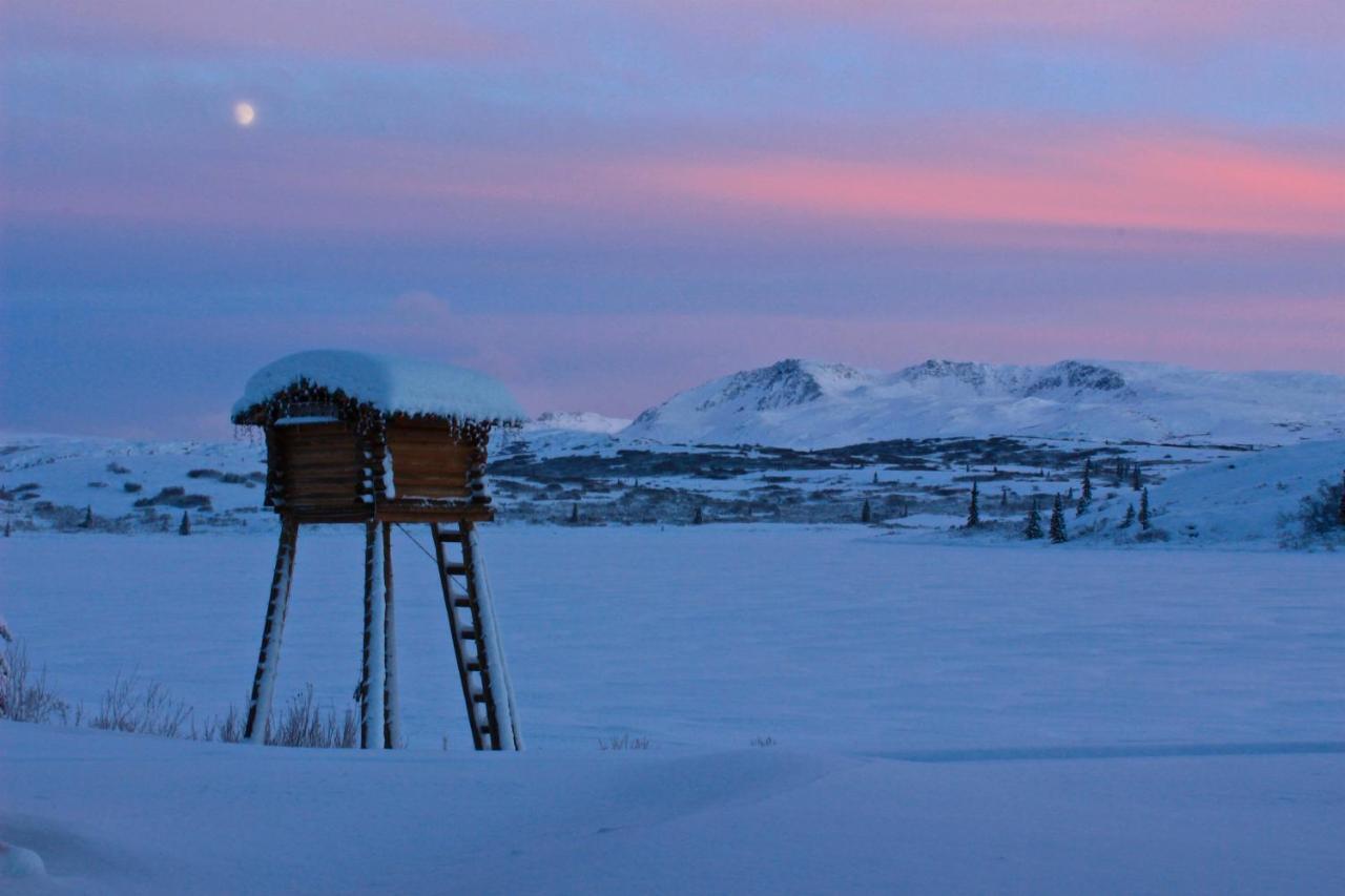 טלקטנה Caribou Lodge Alaska מראה חיצוני תמונה