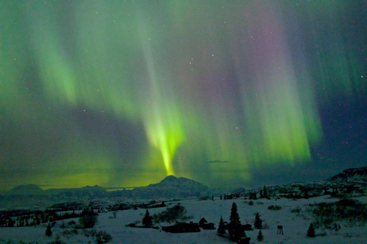 טלקטנה Caribou Lodge Alaska מראה חיצוני תמונה