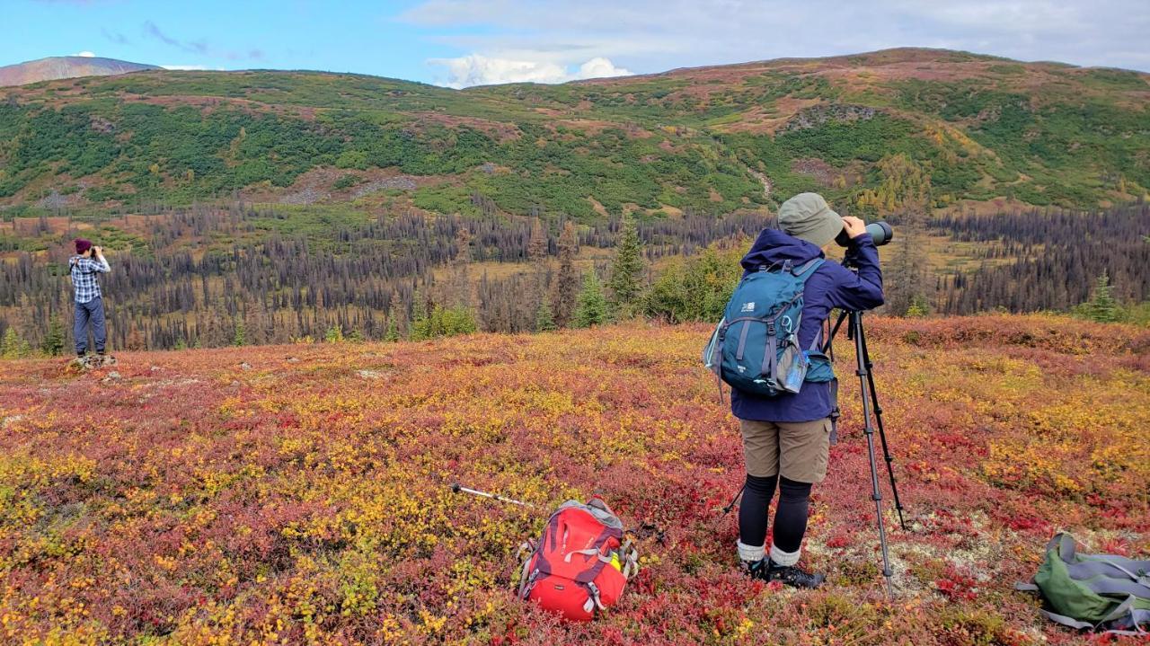 טלקטנה Caribou Lodge Alaska מראה חיצוני תמונה