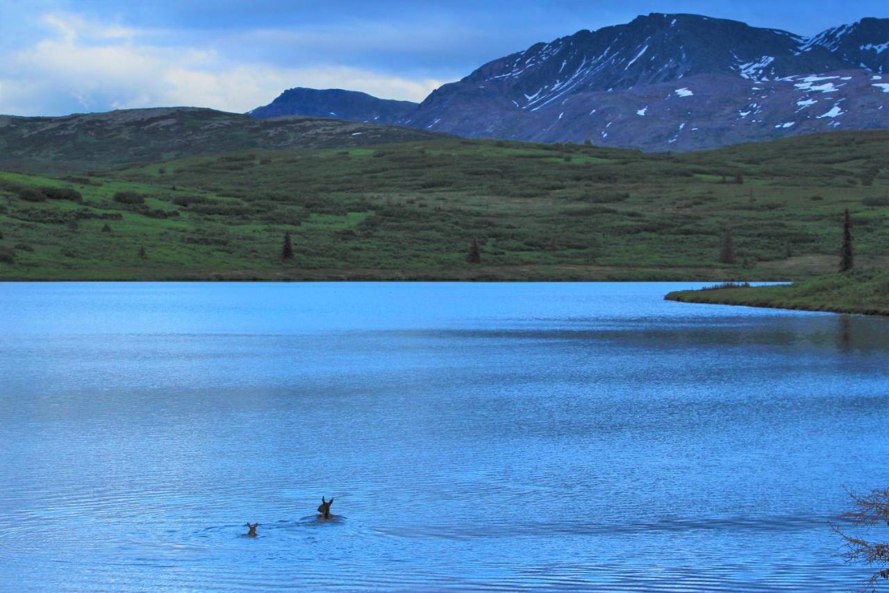 טלקטנה Caribou Lodge Alaska מראה חיצוני תמונה