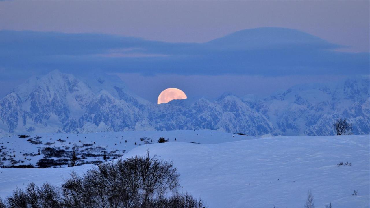 טלקטנה Caribou Lodge Alaska מראה חיצוני תמונה