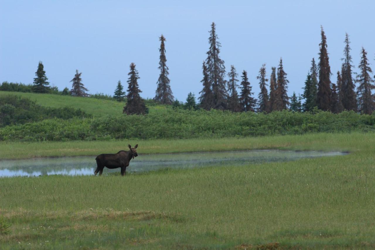 טלקטנה Caribou Lodge Alaska מראה חיצוני תמונה