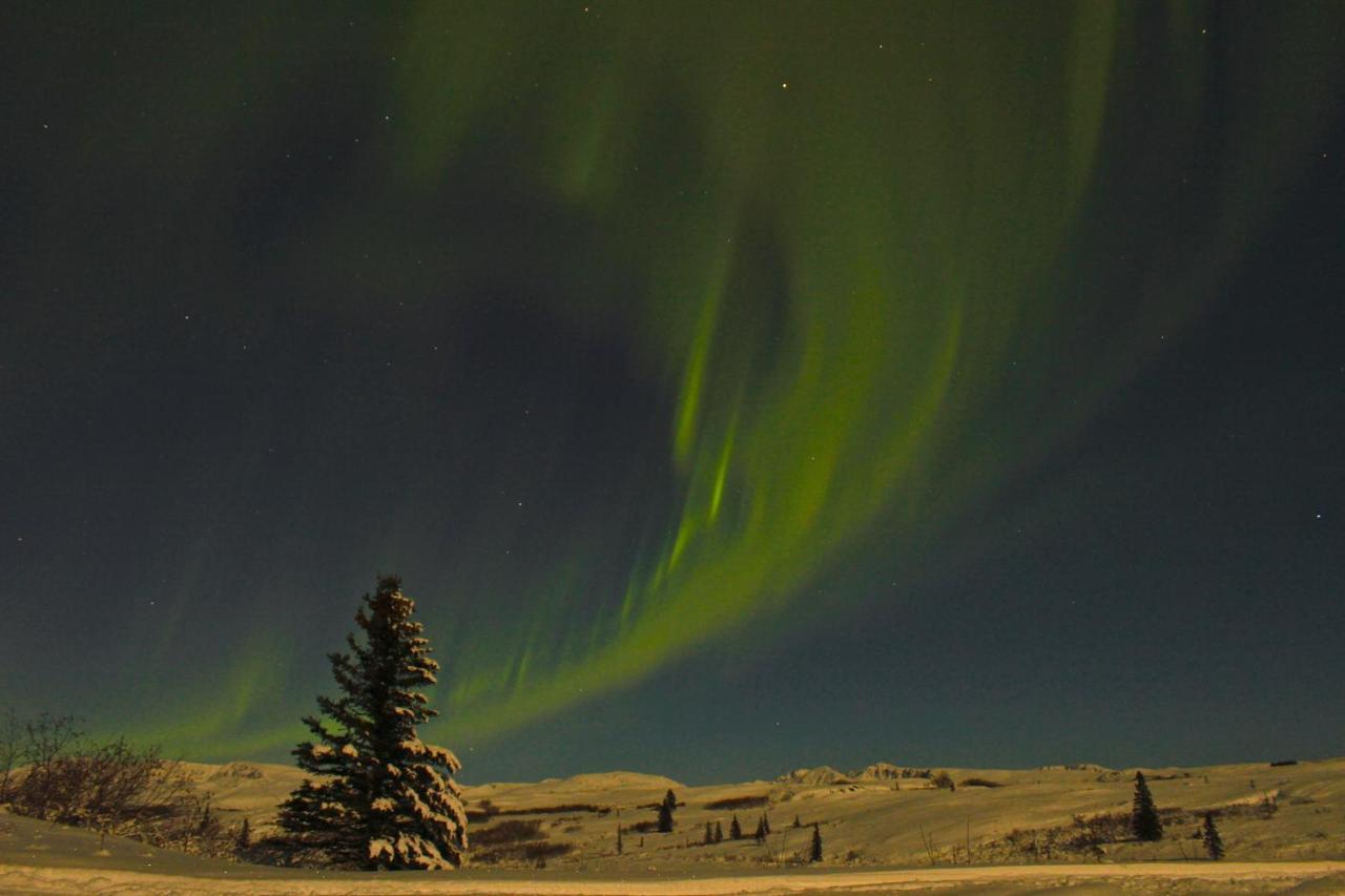 טלקטנה Caribou Lodge Alaska מראה חיצוני תמונה